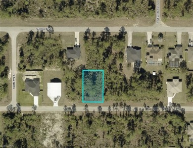 **SIDE-BY-SIDE lots available** Other address is 1049 Merry St on Mirror Lakes Golf Club in Florida - for sale on GolfHomes.com, golf home, golf lot