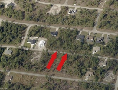**SIDE-BY-SIDE lots available** Other address is 1049 Merry St on Mirror Lakes Golf Club in Florida - for sale on GolfHomes.com, golf home, golf lot