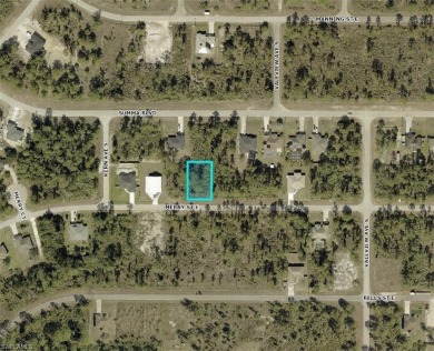 **SIDE-BY-SIDE lots available** Other address is 1049 Merry St on Mirror Lakes Golf Club in Florida - for sale on GolfHomes.com, golf home, golf lot