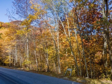 This homesite offers stunning year round mountain views and is on Old Edwards Club in North Carolina - for sale on GolfHomes.com, golf home, golf lot