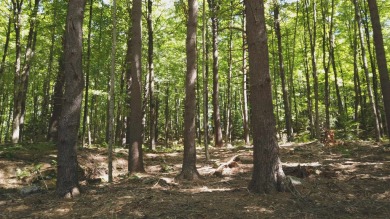 Step into a legacy of elegance and opportunity with this on Hooper Golf Club in New Hampshire - for sale on GolfHomes.com, golf home, golf lot