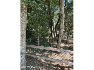 Beautiful golf course lot positioned between the 6th tee and 5th on Bald Head Island Golf Club in North Carolina - for sale on GolfHomes.com, golf home, golf lot