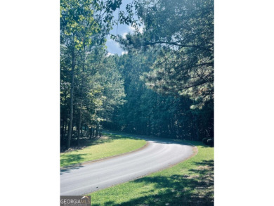 BEAUTIFUL LAKE AND GOLF COURSE HOMESITE WITH VIEW OF THE on Hawks Ridge Golf Club in Georgia - for sale on GolfHomes.com, golf home, golf lot