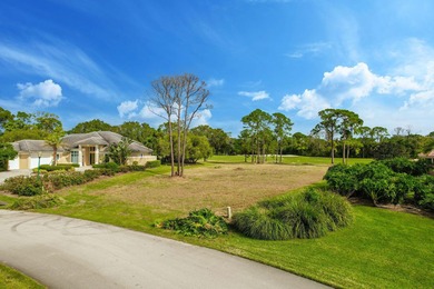 165 feet across the back of pure beauty! View the Cape Club Golf on The Cape Club of Palm City in Florida - for sale on GolfHomes.com, golf home, golf lot