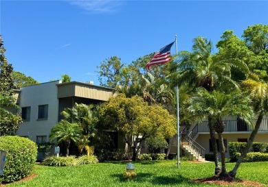 Move in Ready, Remodeled Palm Harbor Condo - Modern Coastal on Innisbrook Resort and Golf Club in Florida - for sale on GolfHomes.com, golf home, golf lot