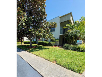 Move in Ready, Remodeled Palm Harbor Condo - Modern Coastal on Innisbrook Resort and Golf Club in Florida - for sale on GolfHomes.com, golf home, golf lot