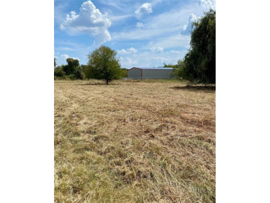 Do Not Miss Out! This level 80x120 foot lot features sandy soil on Horseshoe Bend Country Club in Texas - for sale on GolfHomes.com, golf home, golf lot