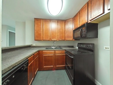 Beautifully Updated 1-Bedroom Condo with Private Patio in Four on River Bend Golf Club in Illinois - for sale on GolfHomes.com, golf home, golf lot