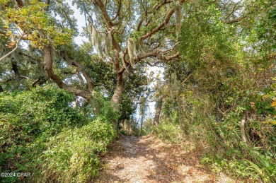 🦩 Prime Vacant Lot in Sanctuary Beach - Your Dream Home on Bay Point Resort Golf Club in Florida - for sale on GolfHomes.com, golf home, golf lot