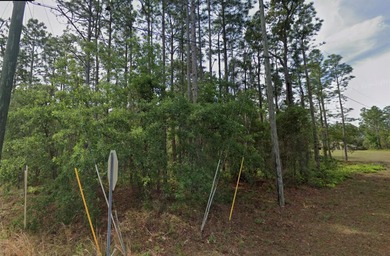 Prime Homosassa Corner Lot!
Don't miss this rare opportunity to on Sugarmill Woods Golf and Country Club in Florida - for sale on GolfHomes.com, golf home, golf lot