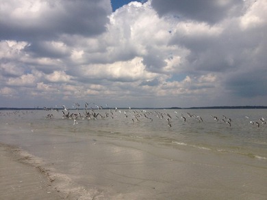 Experience the ultimate Edisto lifestyle in this stunning, 2 BR on The Plantation Course At Edisto in South Carolina - for sale on GolfHomes.com, golf home, golf lot