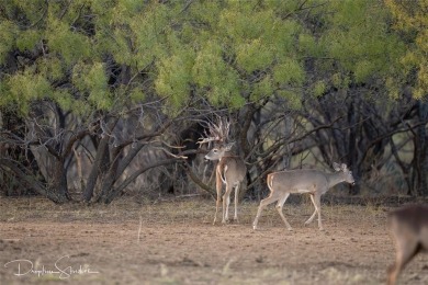 Discover a rare opportunity to own the 5K Ranch, a premier on Brownwood Country Club in Texas - for sale on GolfHomes.com, golf home, golf lot