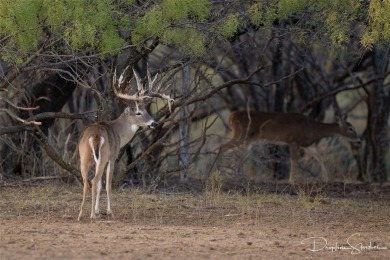 Discover a rare opportunity to own the 5K Ranch, a premier on Brownwood Country Club in Texas - for sale on GolfHomes.com, golf home, golf lot