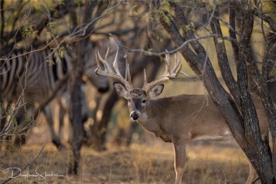 Discover a rare opportunity to own the 5K Ranch, a premier on Brownwood Country Club in Texas - for sale on GolfHomes.com, golf home, golf lot