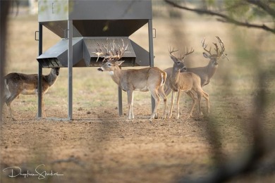Discover a rare opportunity to own the 5K Ranch, a premier on Brownwood Country Club in Texas - for sale on GolfHomes.com, golf home, golf lot