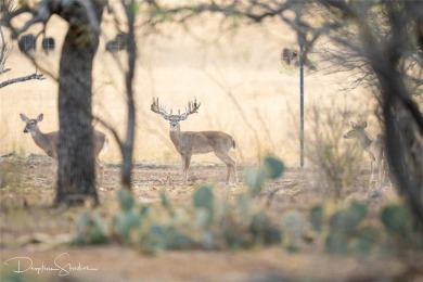 Discover a rare opportunity to own the 5K Ranch, a premier on Brownwood Country Club in Texas - for sale on GolfHomes.com, golf home, golf lot