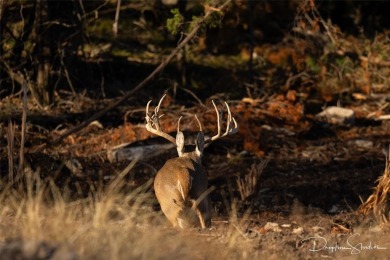 Discover a rare opportunity to own the 5K Ranch, a premier on Brownwood Country Club in Texas - for sale on GolfHomes.com, golf home, golf lot