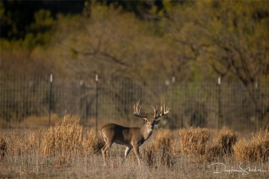 Discover a rare opportunity to own the 5K Ranch, a premier on Brownwood Country Club in Texas - for sale on GolfHomes.com, golf home, golf lot