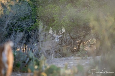 Discover a rare opportunity to own the 5K Ranch, a premier on Brownwood Country Club in Texas - for sale on GolfHomes.com, golf home, golf lot