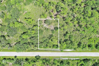 Exclusively presented by Sunland Real Estate: Fantastic on Sabal Trace Golf and Country Club in Florida - for sale on GolfHomes.com, golf home, golf lot