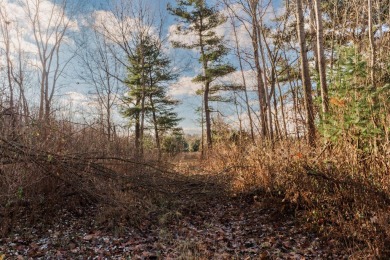 The Fairway Lodge at the Estates of Pine Glen in Saugatuck is a on Ravines Golf Club in Michigan - for sale on GolfHomes.com, golf home, golf lot