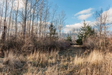 The Fairway Lodge at the Estates of Pine Glen in Saugatuck is a on Ravines Golf Club in Michigan - for sale on GolfHomes.com, golf home, golf lot