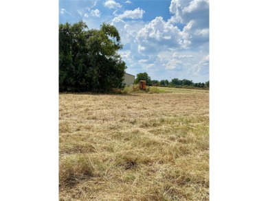 Do Not Miss Out! This level 80x120 foot lot features sandy soil on Horseshoe Bend Country Club in Texas - for sale on GolfHomes.com, golf home, golf lot