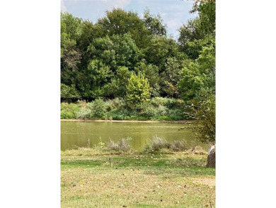Do Not Miss Out! This level 80x120 foot lot features sandy soil on Horseshoe Bend Country Club in Texas - for sale on GolfHomes.com, golf home, golf lot