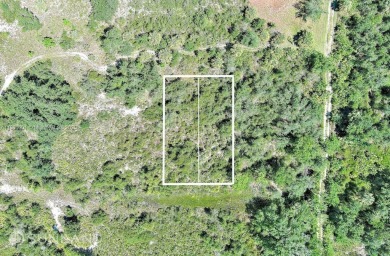 Exclusively presented by Sunland Real Estate: Excellent on Deep Creek Golf Club in Florida - for sale on GolfHomes.com, golf home, golf lot
