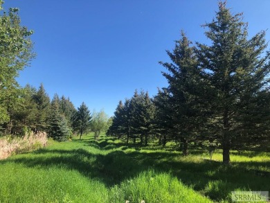 Development opportunity into A2.5 acre lots with an abundance of on Teton Reserve in Idaho - for sale on GolfHomes.com, golf home, golf lot