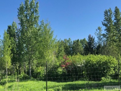 Development opportunity into A2.5 acre lots with an abundance of on Teton Reserve in Idaho - for sale on GolfHomes.com, golf home, golf lot