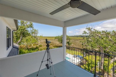 Embrace the timeless elegance of coastal Southern living in this on The King and Prince Golf Course, Home of the Hampton Club in Georgia - for sale on GolfHomes.com, golf home, golf lot