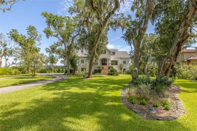 Embrace the timeless elegance of coastal Southern living in this on The King and Prince Golf Course, Home of the Hampton Club in Georgia - for sale on GolfHomes.com, golf home, golf lot