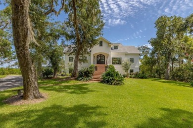 Embrace the timeless elegance of coastal Southern living in this on The King and Prince Golf Course, Home of the Hampton Club in Georgia - for sale on GolfHomes.com, golf home, golf lot