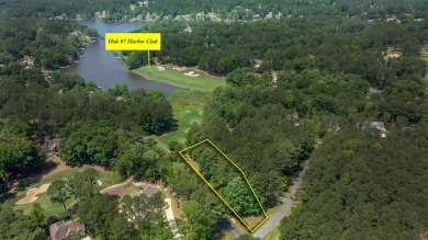 Gorgeous view of #7 tee-fairway and the lake!   Mostly level 3/4 on Harbor Club Golf and Country Club in Georgia - for sale on GolfHomes.com, golf home, golf lot