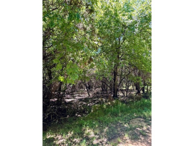 This beautiful property is located in White Bluff Resort. The on White Bluff Resort - Old Course in Texas - for sale on GolfHomes.com, golf home, golf lot
