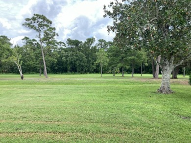 Beautiful and serene 2BR/2BA home with stunning golf course on Fairways Country Club in Florida - for sale on GolfHomes.com, golf home, golf lot