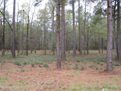 Golf course community, partially cleared lots
Listing agent is on Scotch Meadows Country Club in North Carolina - for sale on GolfHomes.com, golf home, golf lot