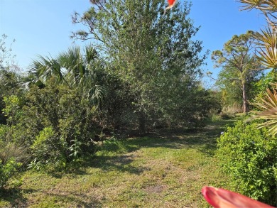 Welcome to this beautifully updated 2-bedroom, 2-bathroom villa on Pelican Pointe Golf and Country Club in Florida - for sale on GolfHomes.com, golf home, golf lot