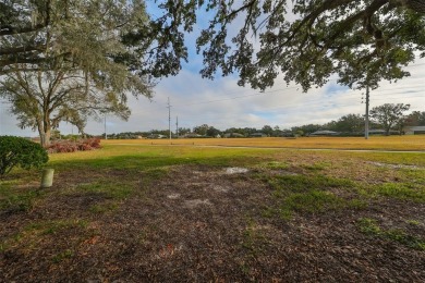 Charming 2-Bedroom, 2-Bath Villa with Golf Course Views

Welcome on Silverado Golf and Country Club in Florida - for sale on GolfHomes.com, golf home, golf lot