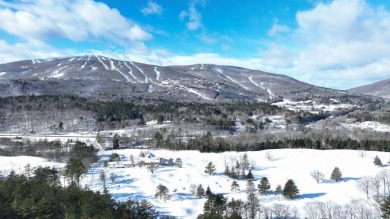 Welcome to  Unit A-1, at Fox Run a natural light filled, end on Okemo Mountain Resort and Golf Club in Vermont - for sale on GolfHomes.com, golf home, golf lot