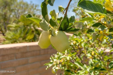 This well-appointed 2009 Riva model is located on a corner lot on Quail Creek Country Club  in Arizona - for sale on GolfHomes.com, golf home, golf lot