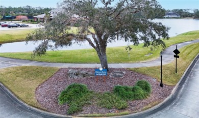 Discover the charm and comfort of this newly listed home nestled on Plantation Bay Golf and Country Club in Florida - for sale on GolfHomes.com, golf home, golf lot