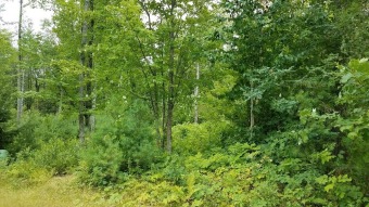 Lovely treed lot located right next to the golf course in area on Bridgton Highlands Country Club in Maine - for sale on GolfHomes.com, golf home, golf lot