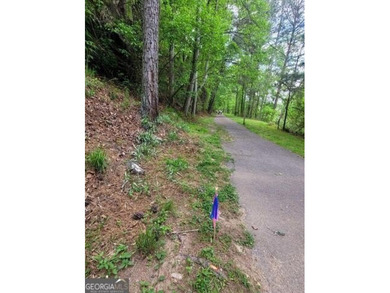 Bring all OFFERS! Rare Opportunity - Developer Potential or on The Highlands Course at Lake Arrowhead in Georgia - for sale on GolfHomes.com, golf home, golf lot