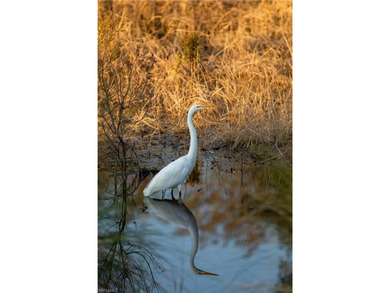 RARE BUILDABLE LOT - WATER ON TWO SIDES - GOLF COURSE VIEWS - on The Club At Twin Eagles in Florida - for sale on GolfHomes.com, golf home, golf lot