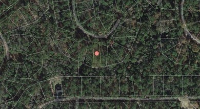 Beautiful 1/4 acre lot in Rayburn Country! Perfect location and on Rayburn Country Club in Texas - for sale on GolfHomes.com, golf home, golf lot