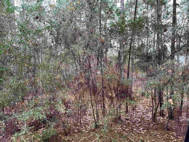 Beautiful 1/4 acre lot in Rayburn Country! Perfect location and on Rayburn Country Club in Texas - for sale on GolfHomes.com, golf home, golf lot