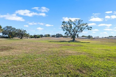 Under contract-accepting backup offers. Is this the one for you? on Falcon Watch Golf Club in Florida - for sale on GolfHomes.com, golf home, golf lot