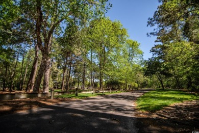 Welcome to Your Perfect Getaway in Pawleys Island!  Discover on True Blue Plantation in South Carolina - for sale on GolfHomes.com, golf home, golf lot